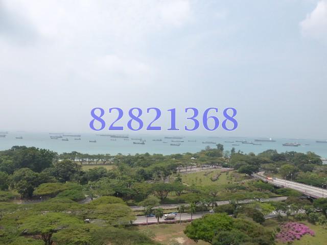 Bayshore Park (D16), Condominium #114919192